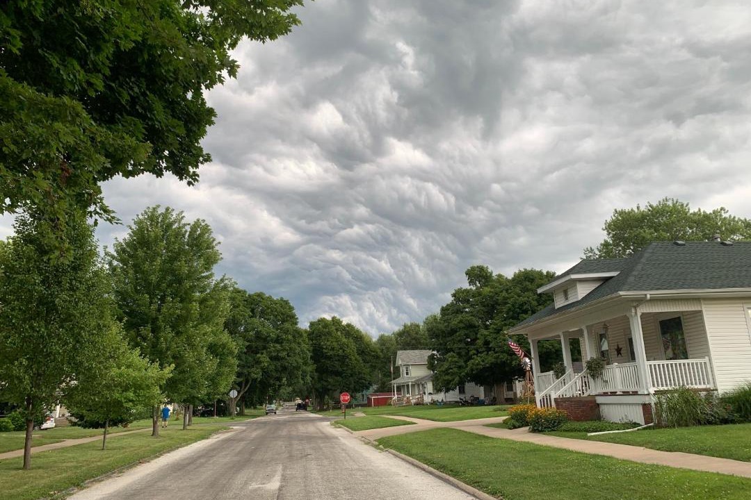 Photo of Others in Bushnell