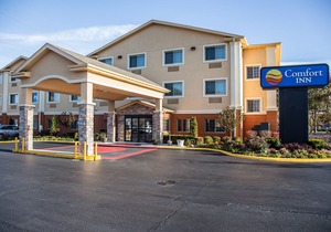 Comfort Inn North Joliet