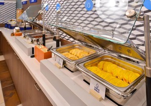 Holiday Inn Express Chicago NW - Arlington Heights