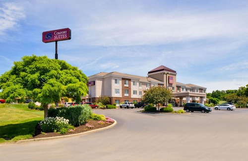 Mount Vernon Hotel | Comfort Suites Mount Vernon