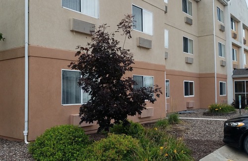 Quad Cities Hotel | AmericInn by Wyndham Moline Airport Quad Cities