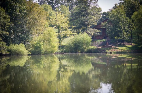 Carbondale Cabin | Hot Tub Cabin- In the Heart of Shawnee Wine Trail